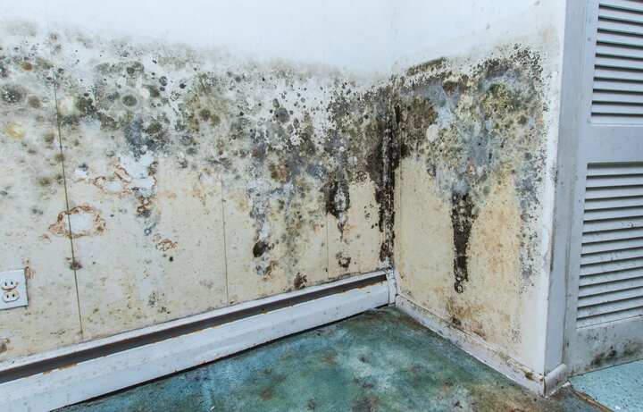 Mold Damager Odor Control